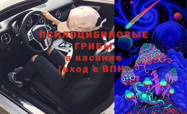 стаф Покровск
