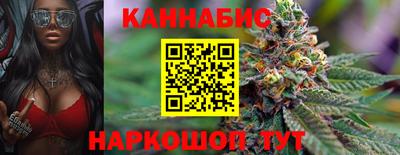 скорость Кингисепп