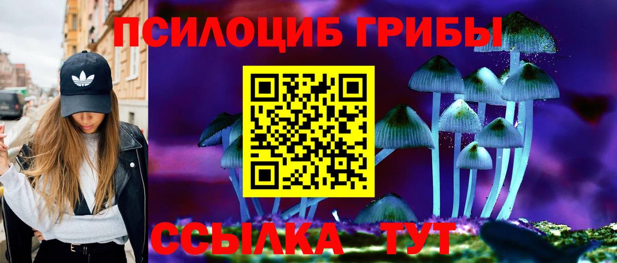 Галлюциногенные грибы Psilocybe  Галлюциногенные грибы GOLDEN TEACHER  Вход с VPN  Нальчик 